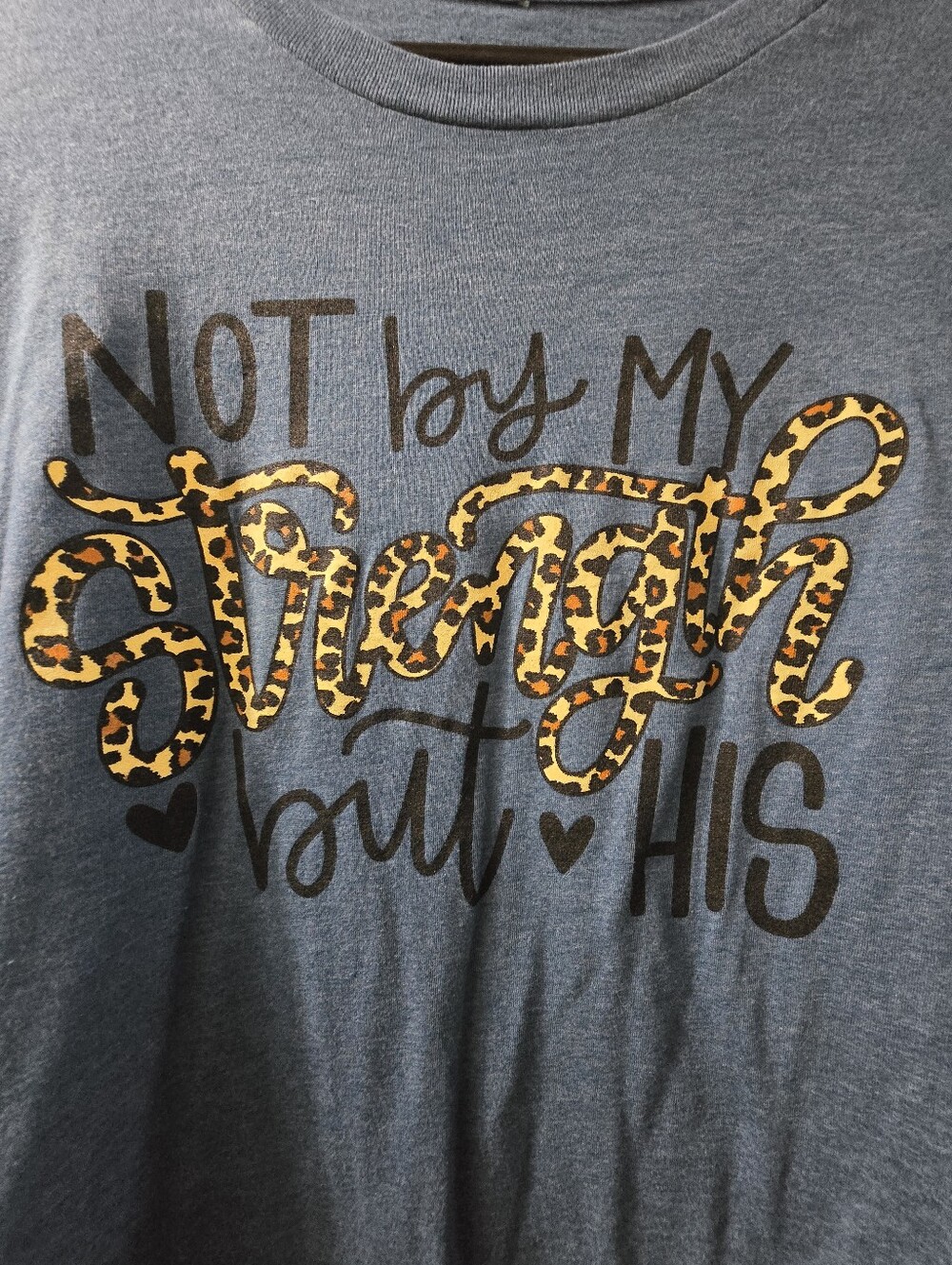 Womens Blue Graphic Tee with Leopard Script